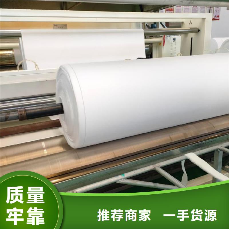 河道堤坝土工布有限公司/多少钱一平