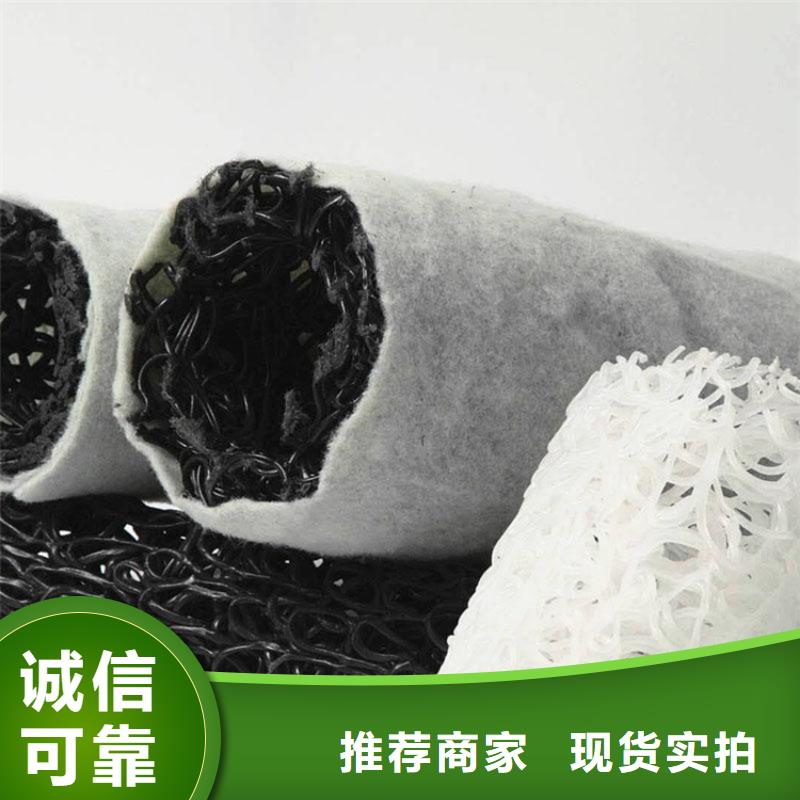 塑料盲沟-DN150200RCP渗排水盲管