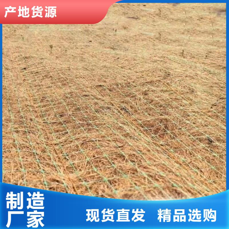 植物纤维毯-椰纤植草毯-椰丝环保草毯