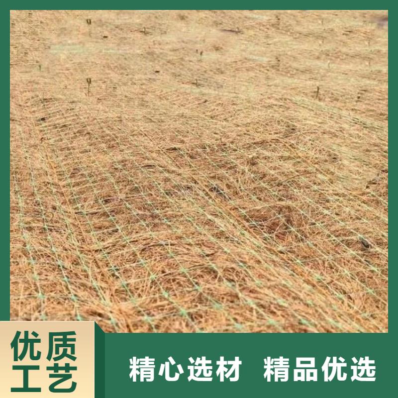 椰丝植物纤维毯-公路植生毯-稻草纤维毯
