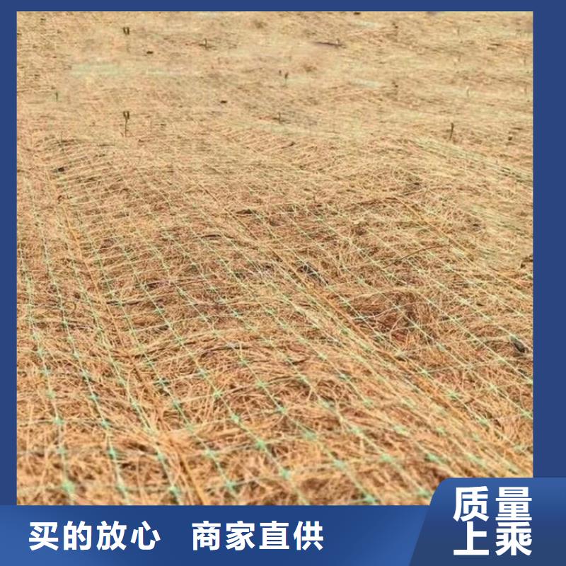 椰丝植生毯-抗冲刷生态毯-护坡植物纤维毯