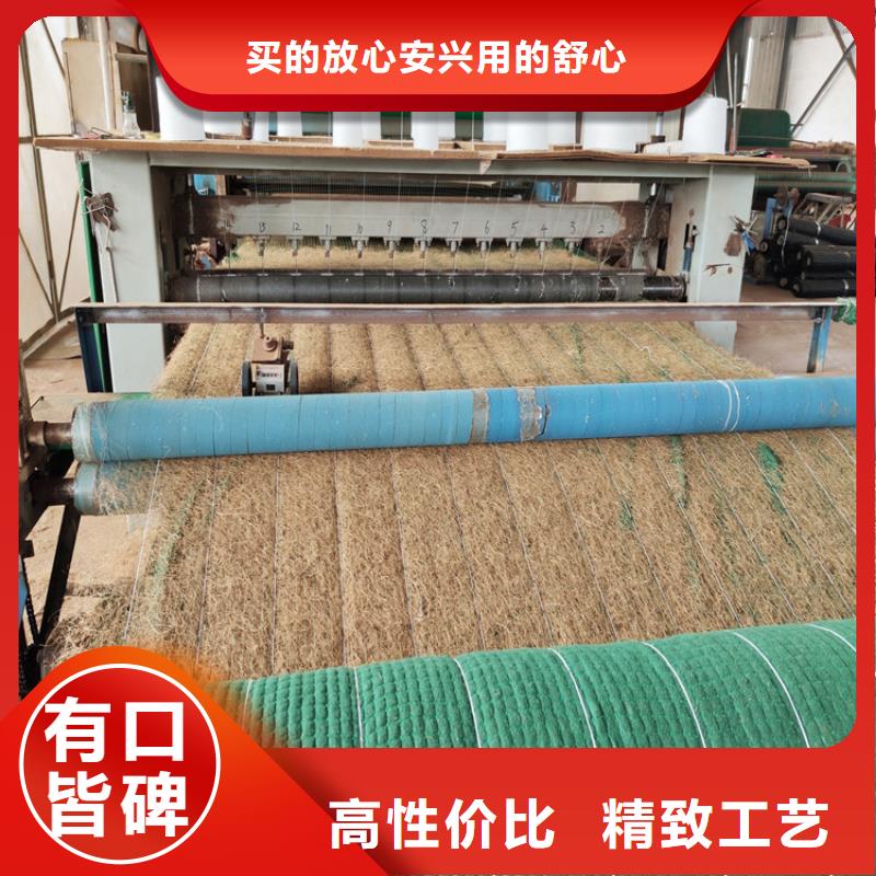 植物纤维毯边坡防护-加固