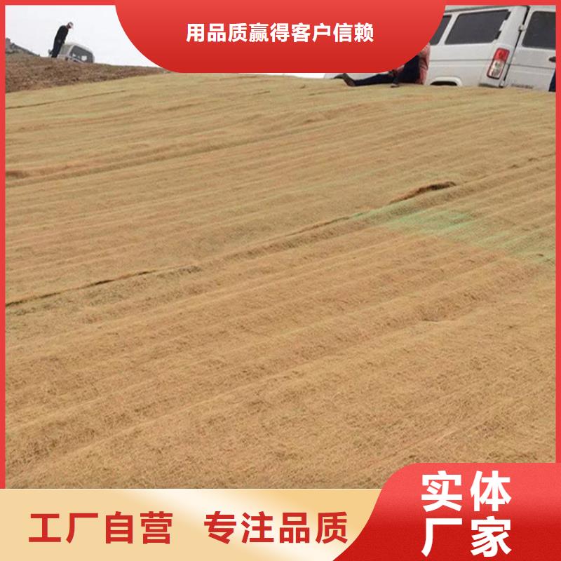 椰丝毯-椰棕植生毯-护坡草毯