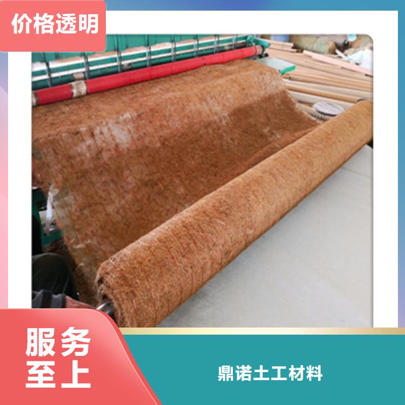 临高县椰丝毯-公路植生毯-草籽椰丝毯