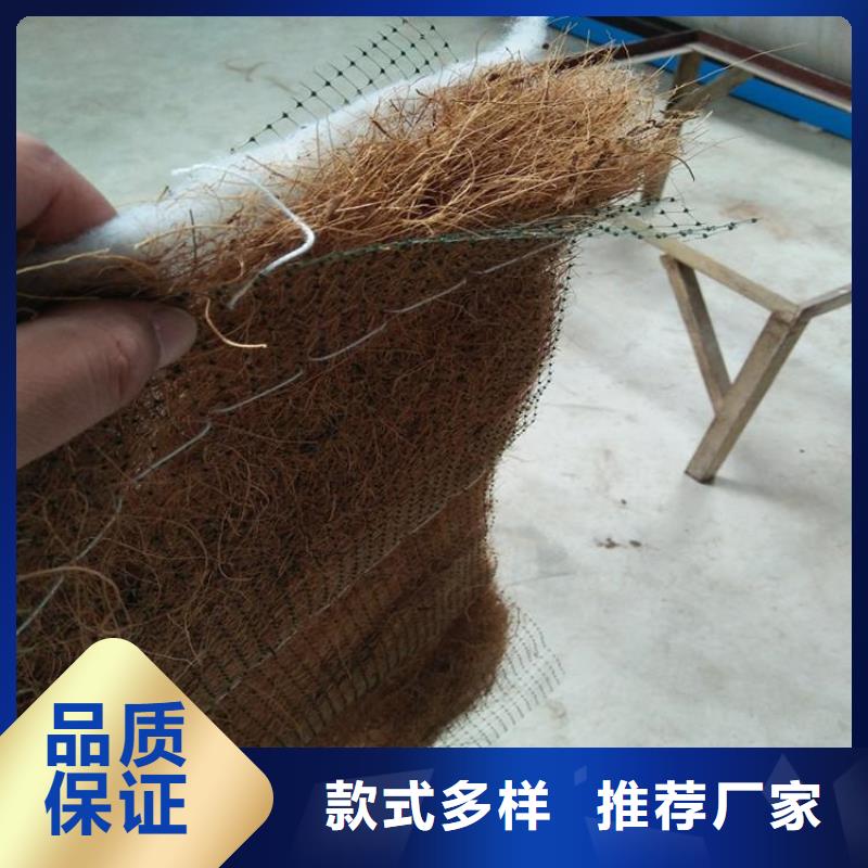 椰纤植生毯护坡植被植草毯