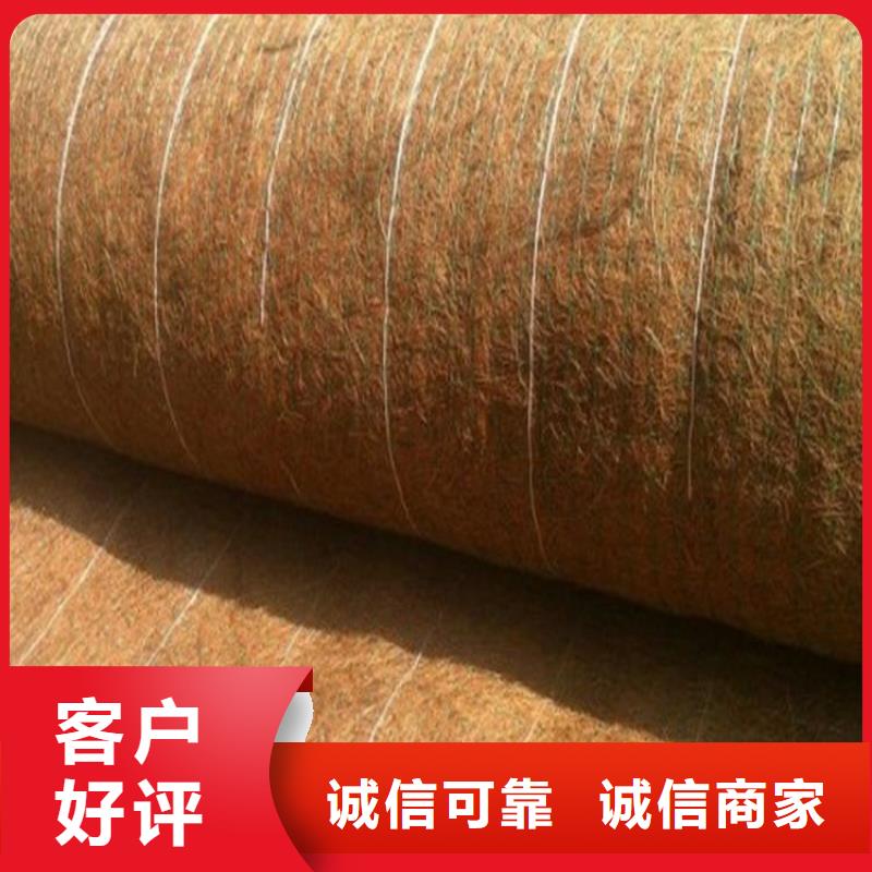 加筋抗冲生物毯-椰棕植生毯