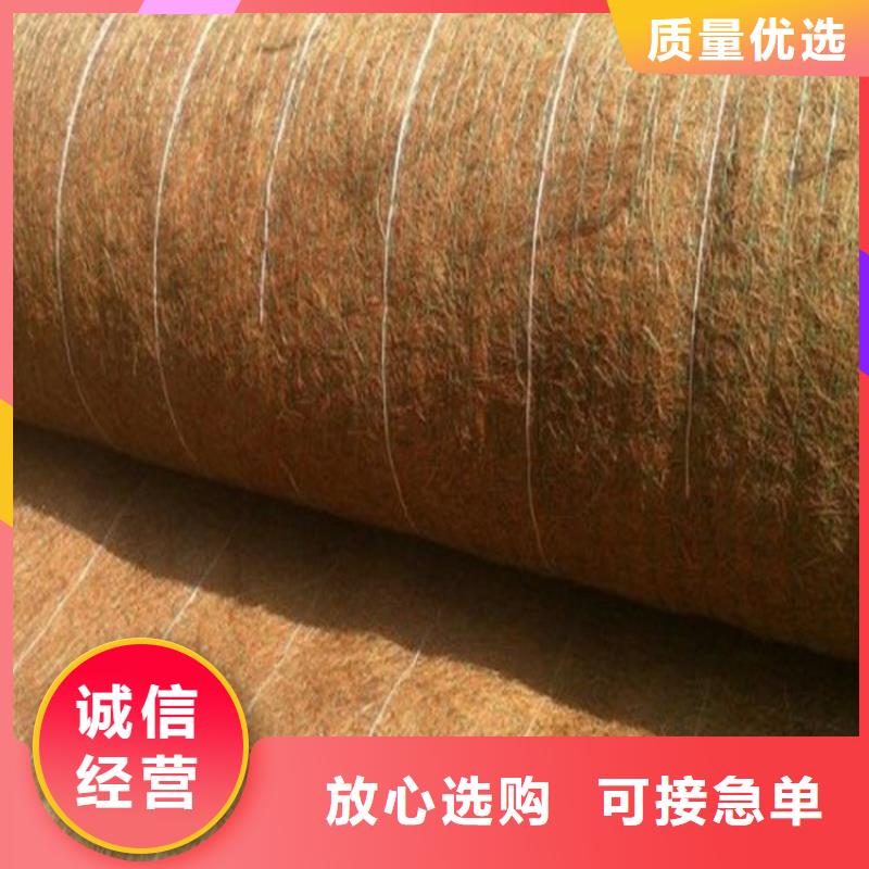 加筋抗冲生物毯-抗冲加筋生态毯