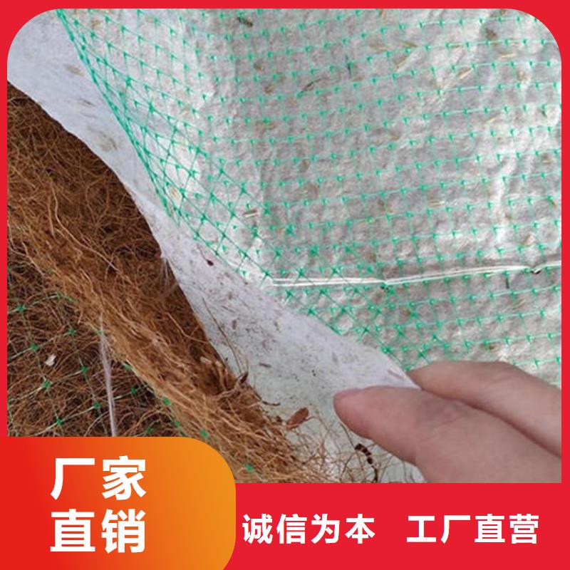 植物生态防护毯植物纤维毯新闻资讯