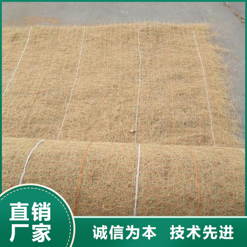 护坡植被植草毯-加筋麻椰固土毯