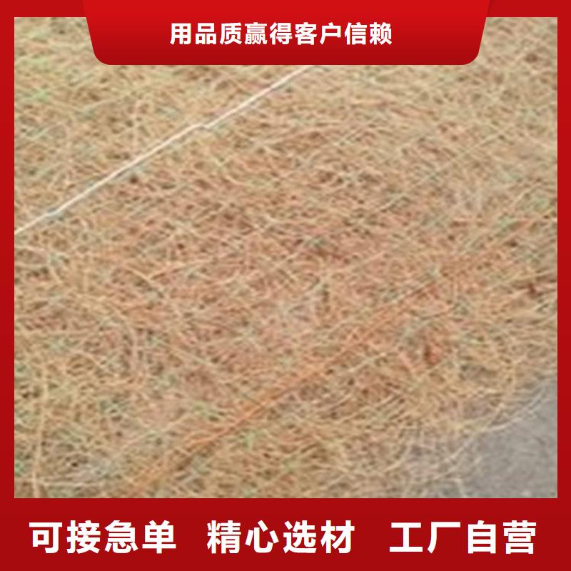 加筋草籽毯植物生态毯