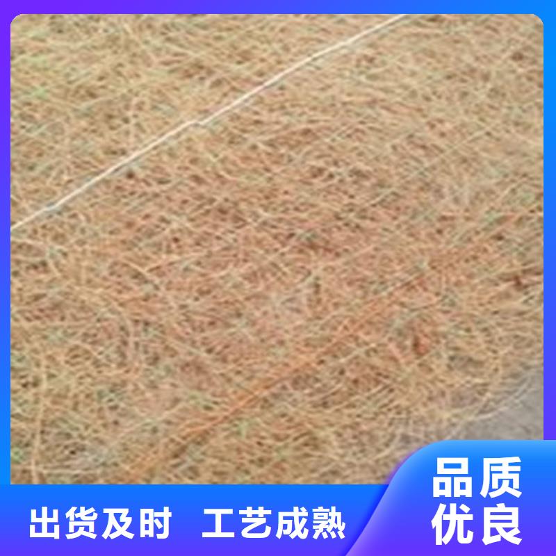 植物纤维毯-抗冲加筋生态毯