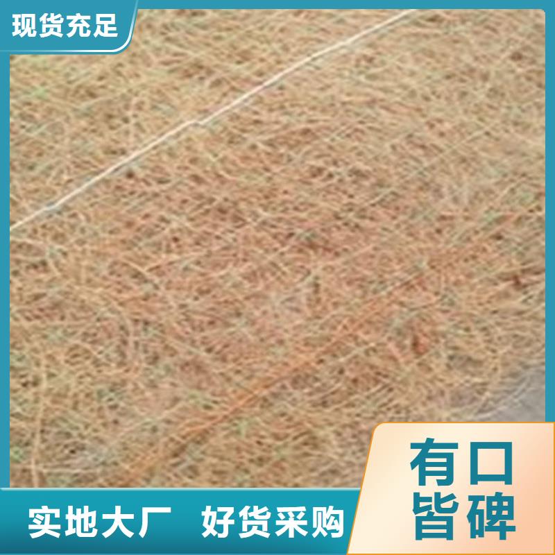 生态环保草毯-椰纤植生毯当地供应