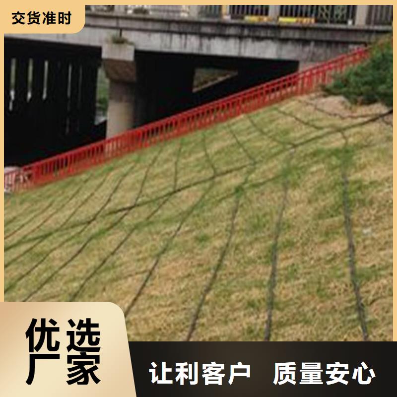 加筋抗冲生态毯护坡植被植草毯