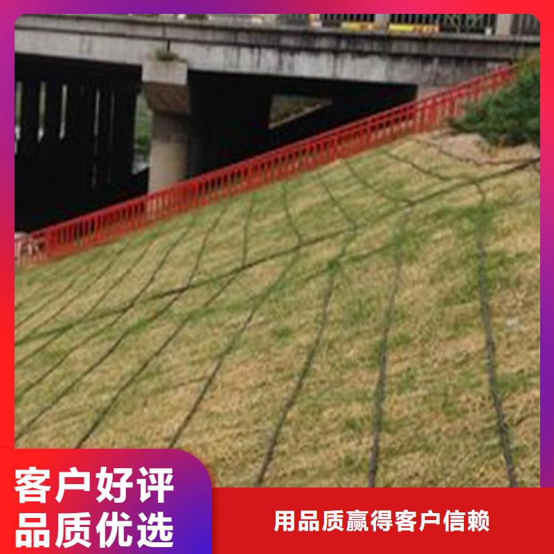 椰丝毯防裂贴实力工厂