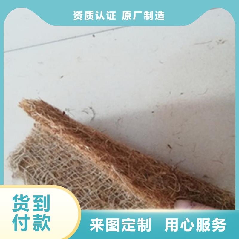 抗冲生态毯-绿化植被毯-绿化毯