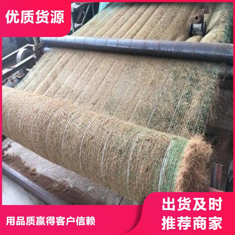 椰纤植生毯品质可靠