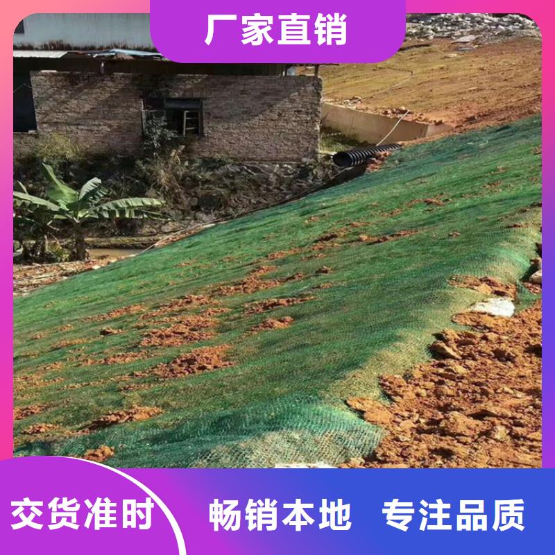 植生椰丝毯多少钱