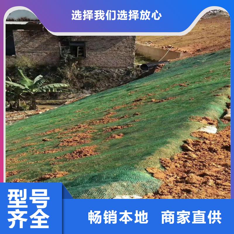 生态环保草毯规格齐全