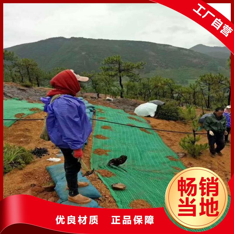 椰丝毯,通风降噪丝网精工打造