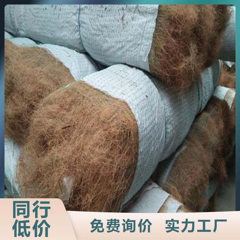 生态环保草毯加筋抗冲生物毯现货直供