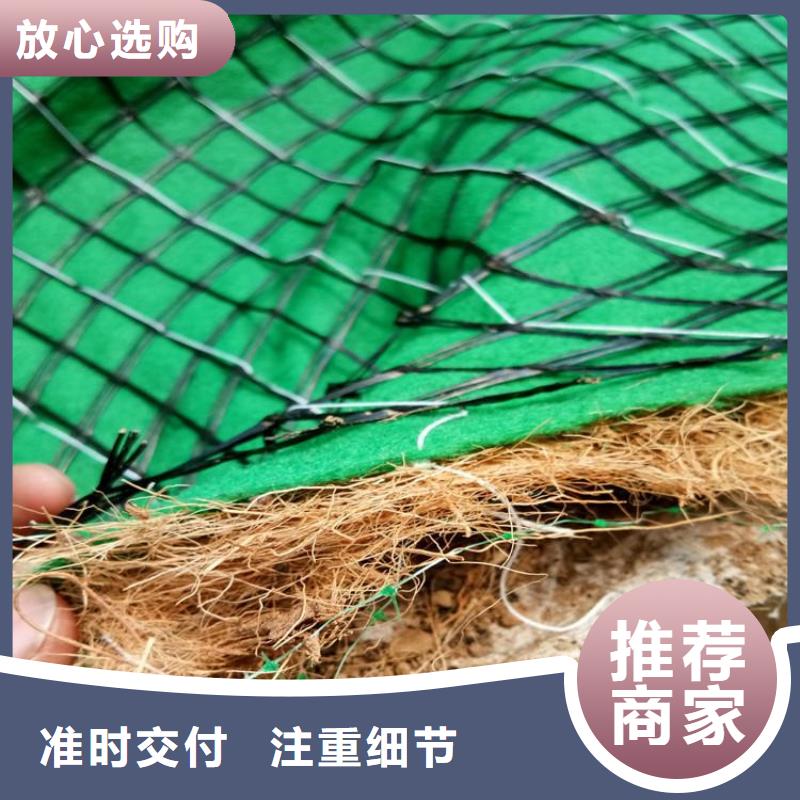 植物纤维毯边坡防护-加固
