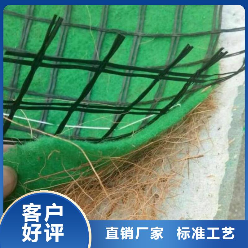护坡植被植草毯-植生椰丝毯欢迎电询