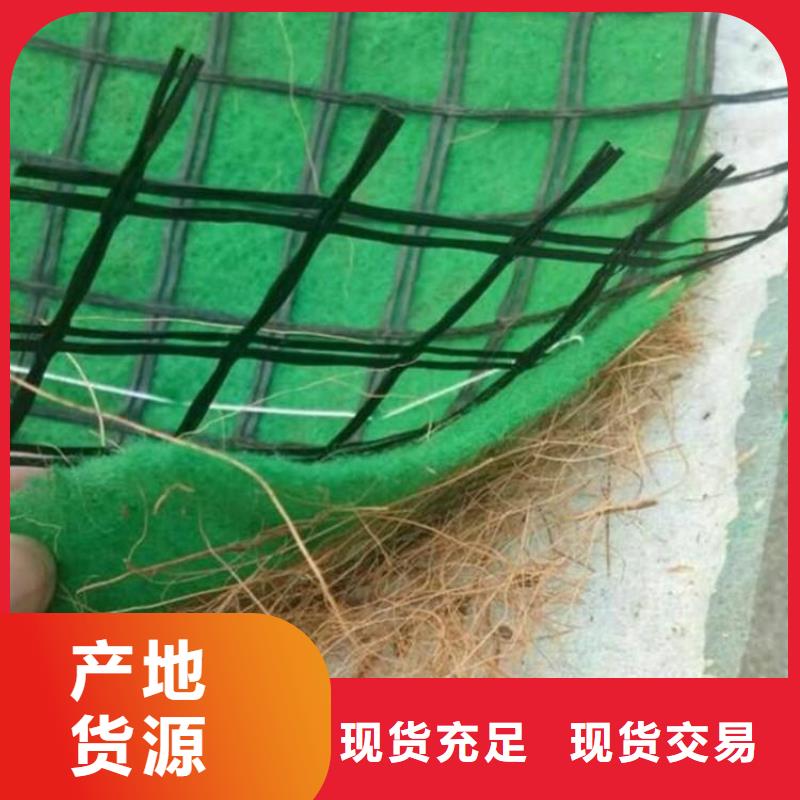 陵水县植物纤维毯-椰丝植草毯-草种椰丝毯