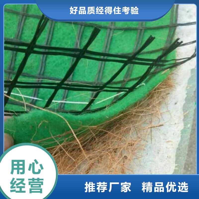 加筋抗冲生态毯护坡植被植草毯