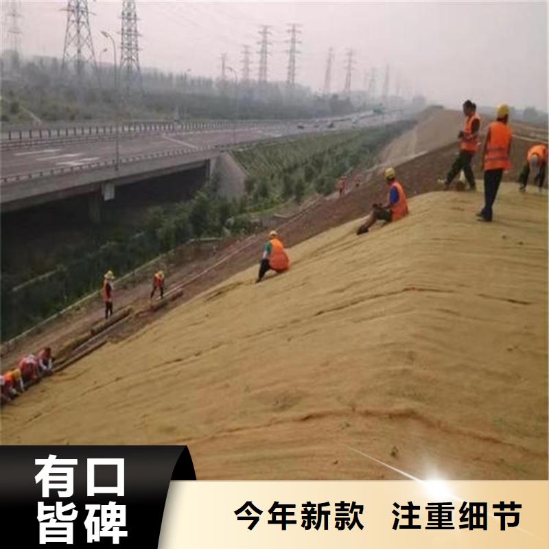 椰丝毯_【玻纤土工格栅】货源充足