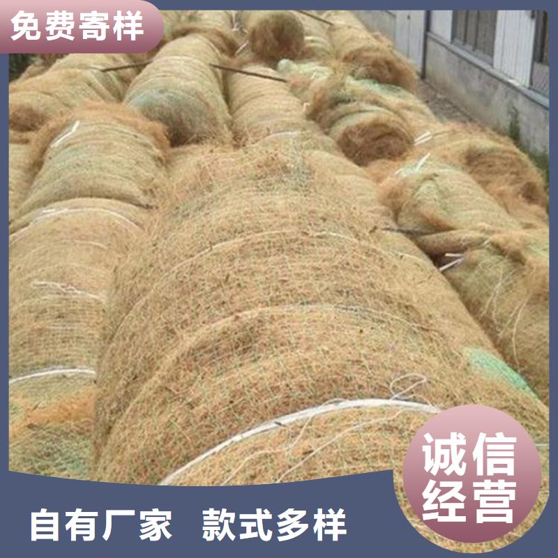 椰纤植生毯-护坡植被纤维毯