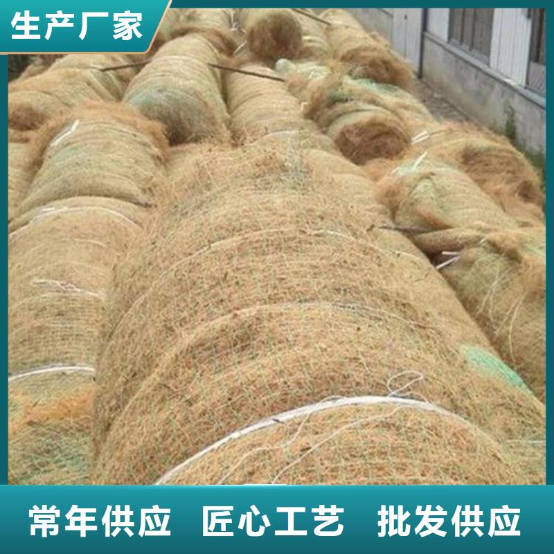 椰丝毯-椰棕植生毯-护坡草毯