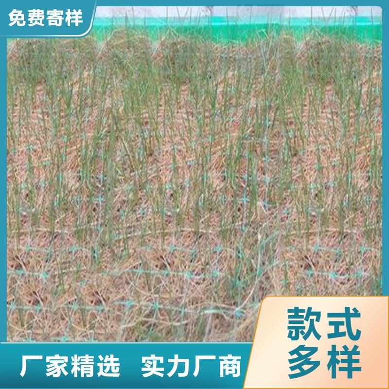 植物纤维毯-抗冲加筋生态毯