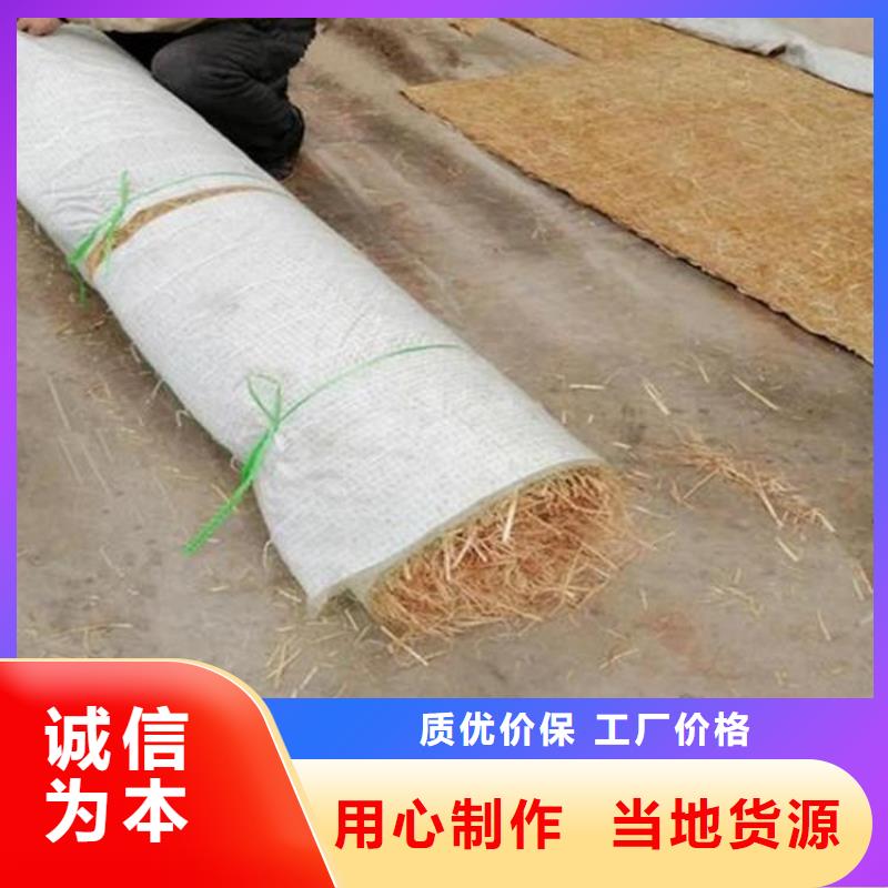椰丝毯-环保植生绿化毯-水保植生毯