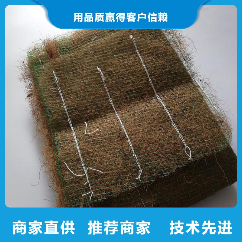 椰丝毯土工格栅源头厂家直销