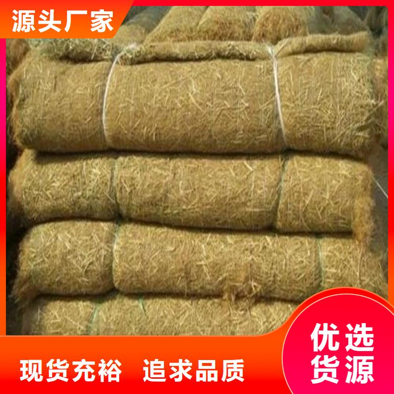 椰纤植生毯品质可靠