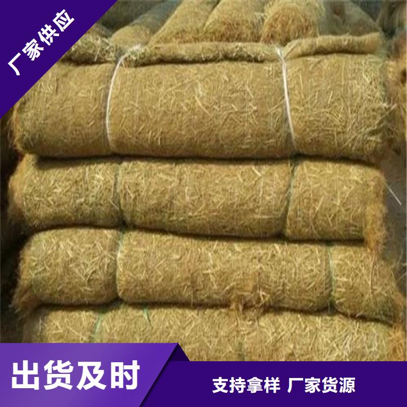 椰丝毯-环保植生绿化毯-水保植生毯