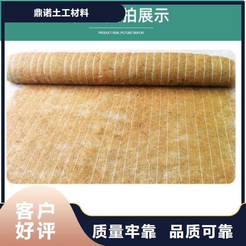 抗冲生态毯-绿化植被毯-绿化毯