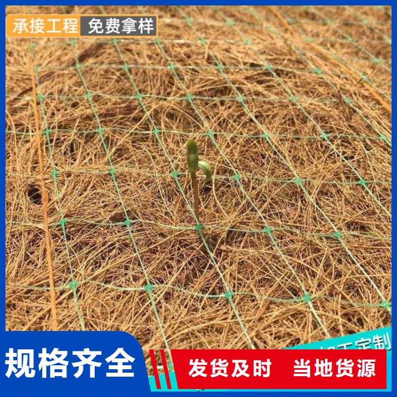 植生椰丝毯-护坡椰丝毯
