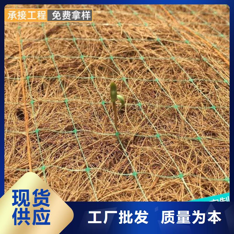植生椰丝毯施工动态已更新
