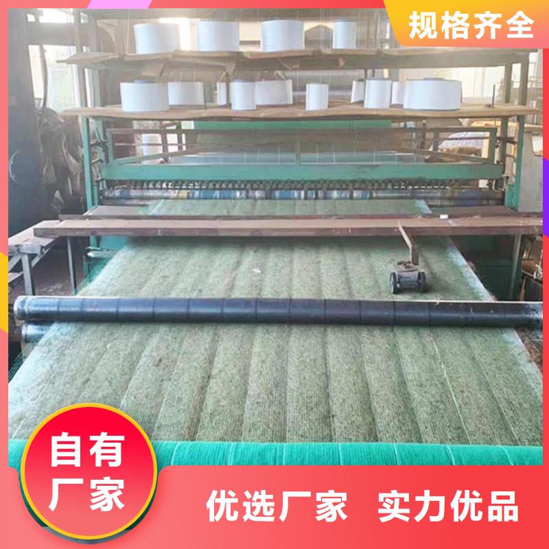 生态环保草毯-植生椰丝毯全国发货