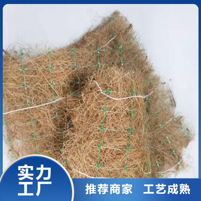 护坡植被植草毯-植生草毯