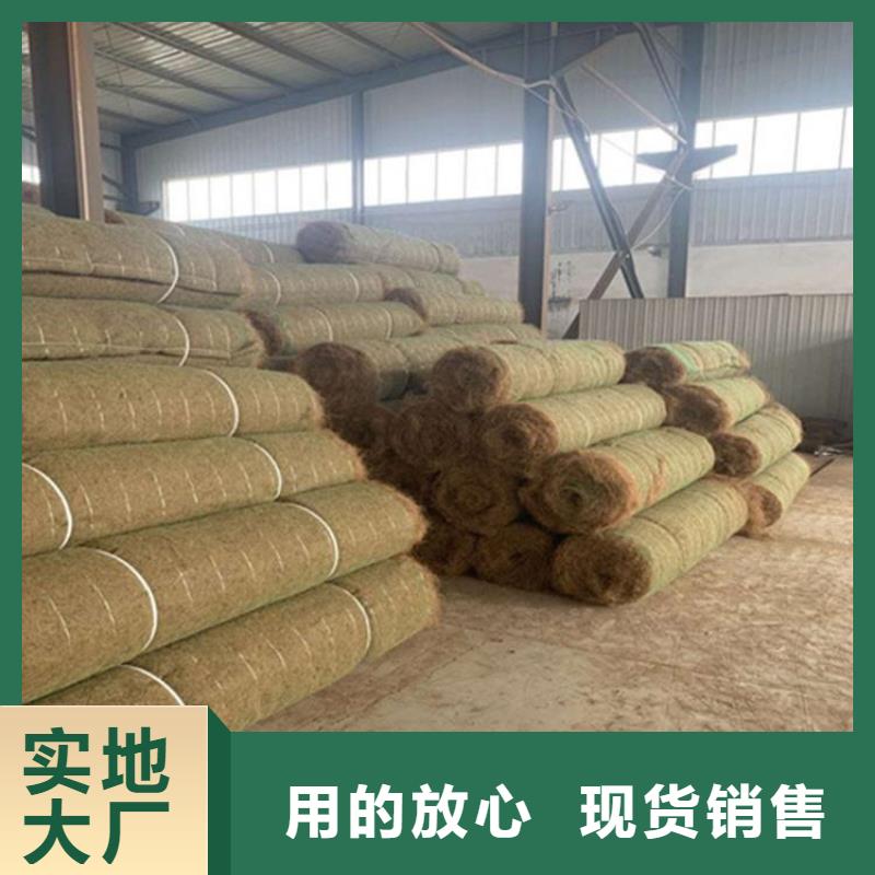 生态环保草毯-植生椰丝毯全国发货