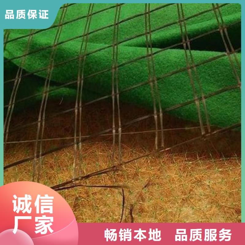加筋植物纤维毯-抗冲刷生物毯-椰丝草毯