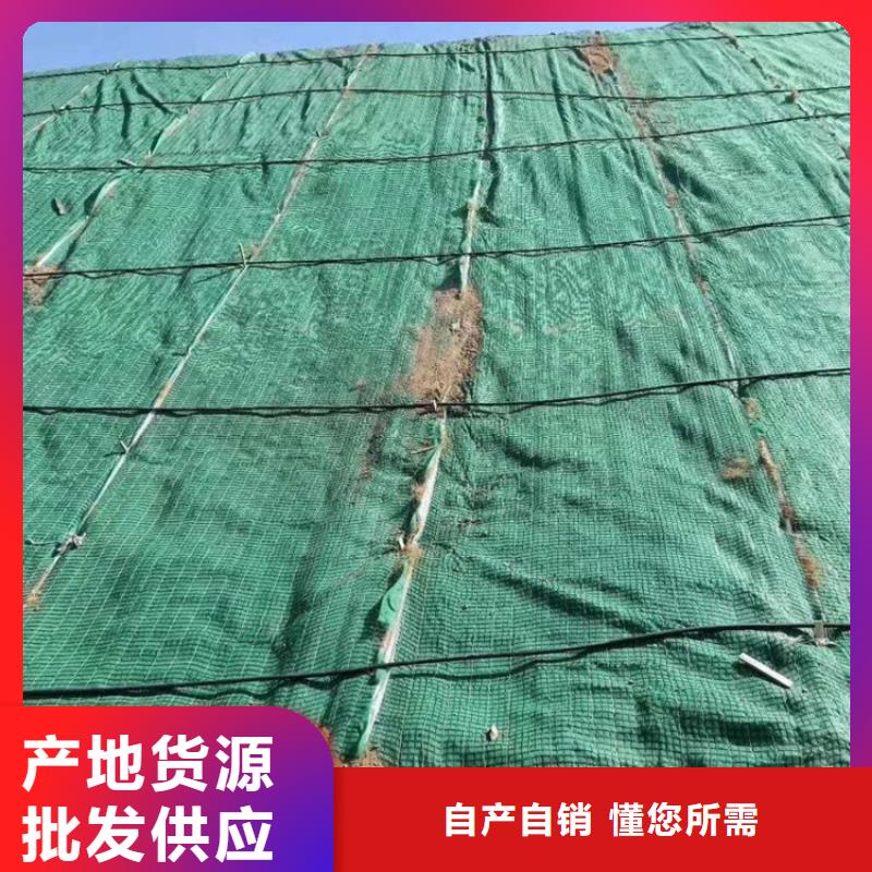 生态环保草毯规格齐全