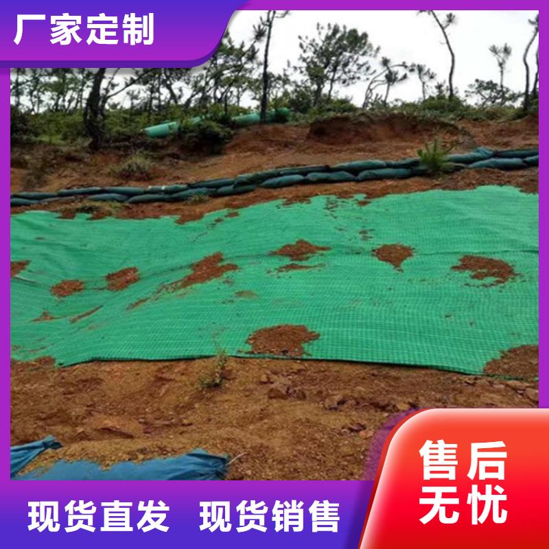 植生椰丝毯厂家动态
