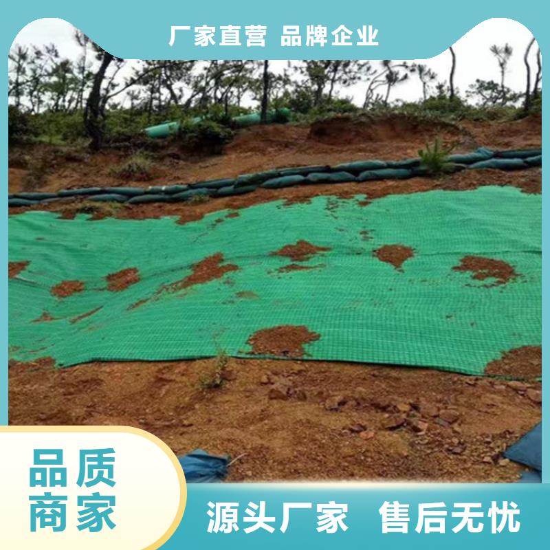 昌江县植物纤维毯-植草绿化毯-植物生态垫