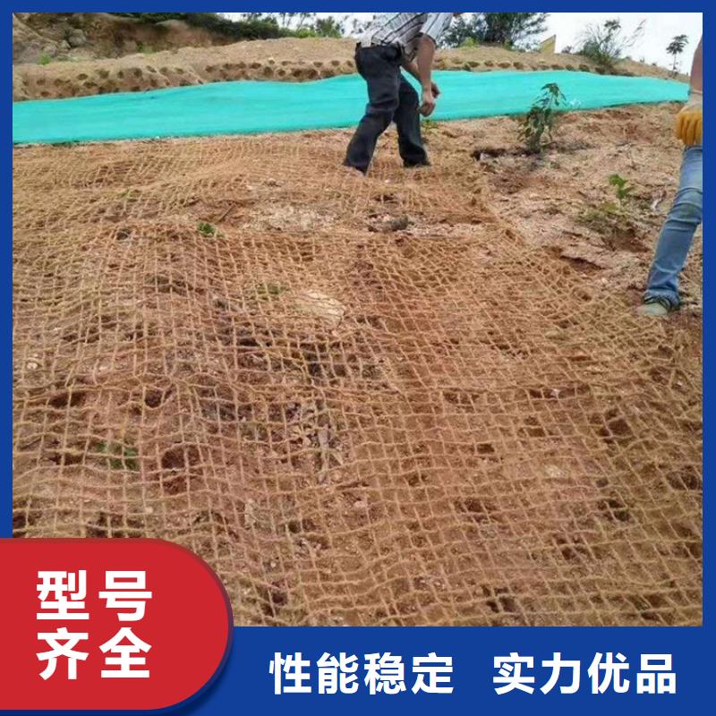椰丝毯【土工膜】安心购