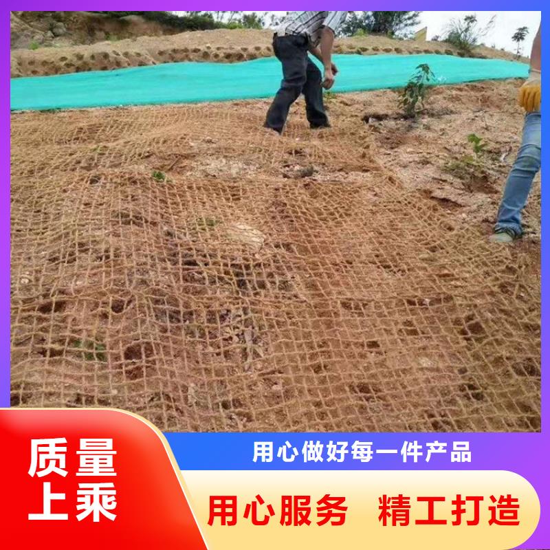 椰纤植生毯品质可靠