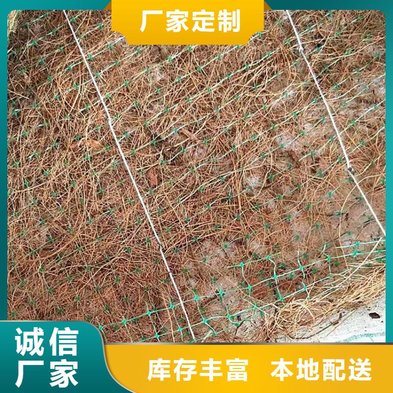 植生椰丝毯加筋抗冲生物毯拉力