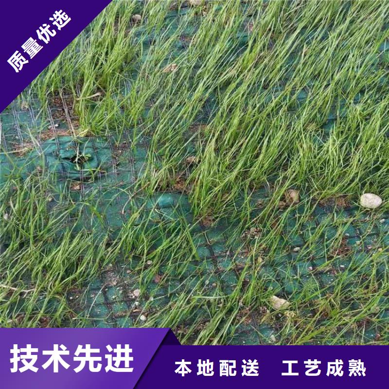 椰丝毯土工格栅源头厂家直销